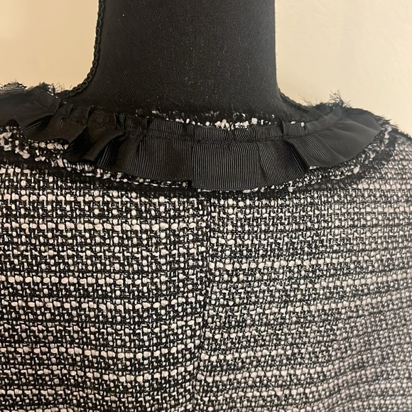 Apostrophe Plus Size Elegant Cotton Blend Blazer, Sz. 16P. - Picture 8 of 13